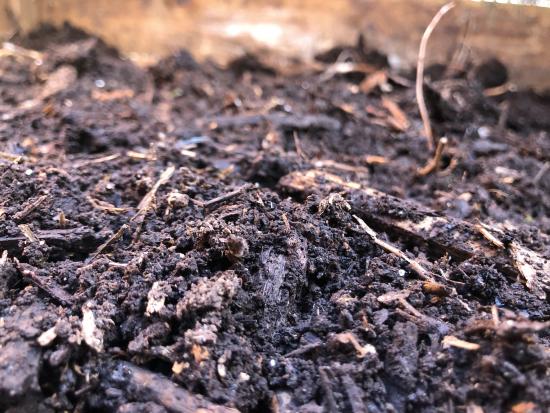 Distribution de compost