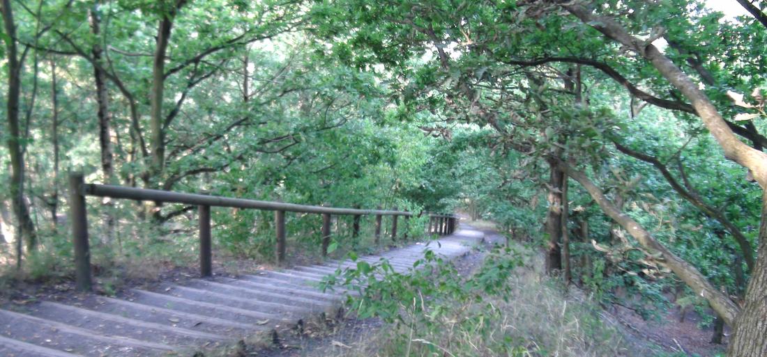 Trame verte et bleue à Leforest