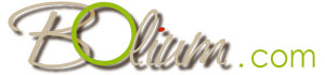 Logo_bolium
